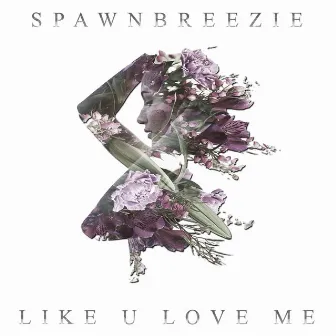 Like U Love Me by Spawnbreezie