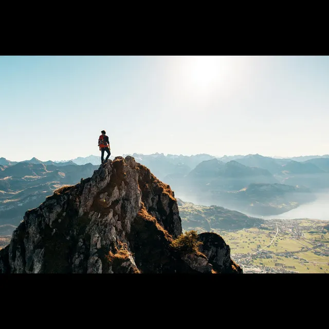 Flight Through Nature