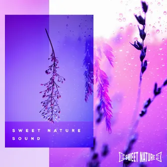 Sweet Nature Sound by 