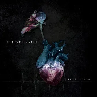 Inner Signals by If I Were You