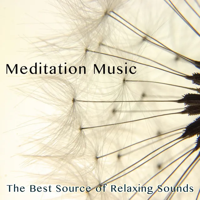 Special Music for Anxiety and Stress