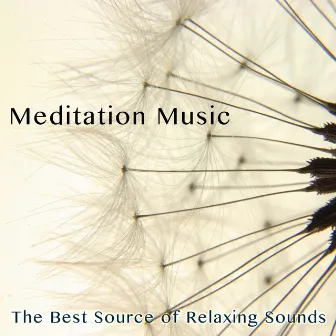 Meditation Music - The Best Source of Relaxing Sounds by Meditation Relax Club feat. Calming Music Academy