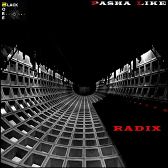 Radix by Pasha Like