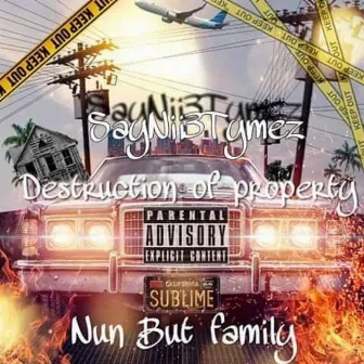 Destruction of Property by N.B.F SayNii3Tymez