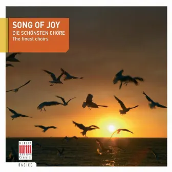 Song of Joy (The finest choirs) by Großer Chor Des Berliner Rundfunks