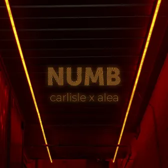 Numb by Carlisle