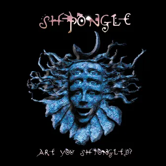 Are You Shpongled? (2017 Remaster) by Shpongle