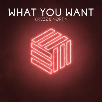 What You Want by Nortin