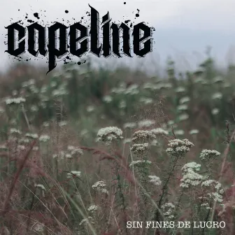 Sin Fines de Lucro by Capeline