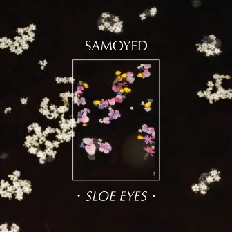 Sloe Eyes by Samoyed