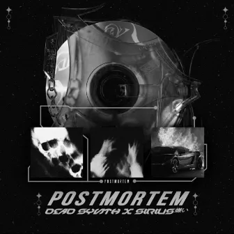 Postmortem by Sirius嫌い