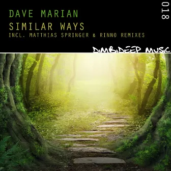 Similar Ways by Dave Marian