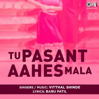 Tu Pasant Aahes Mala by Unknown Artist