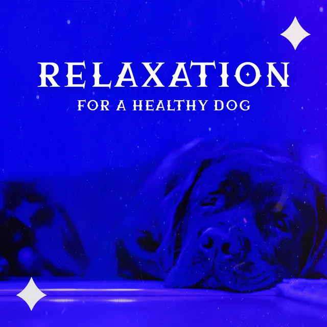 Relaxation for a Healthy Dog