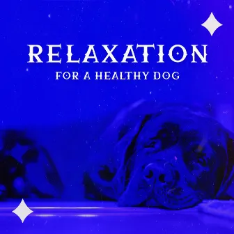 Relaxation for a Healthy Dog by Pet Love Academy