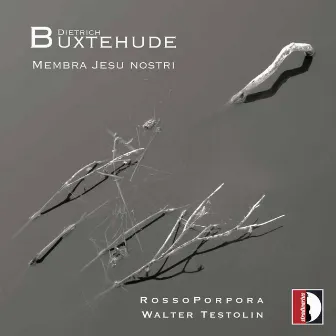 Buxtehude: Membra Jesu nostri, BuxWV 75 by RossoPorpora Ensemble