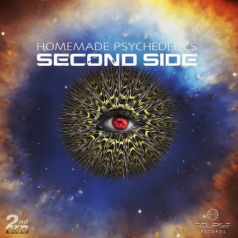 Homemade Psychedelics EP by Second Side