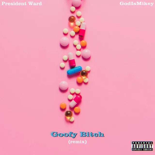 Goofy Bitch - Remix