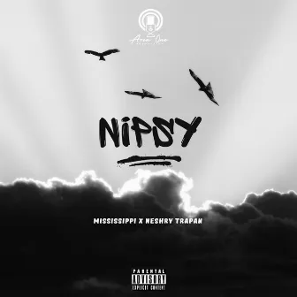 Nipsy by Area One Production