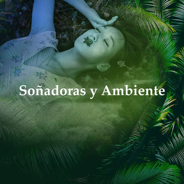 Soñadoras y Ambiente