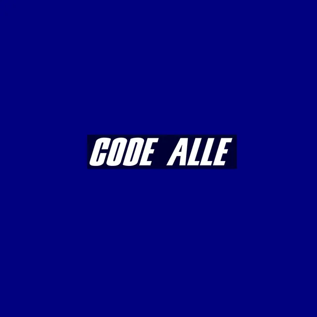 Code:ALLE pt2 - The story Never Ends