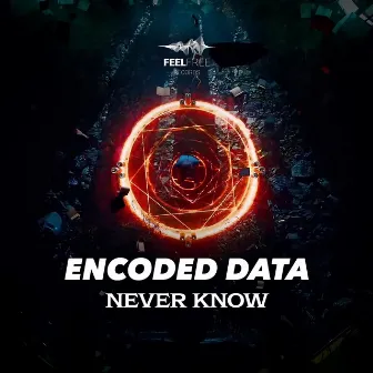 Never Know by Encoded Data