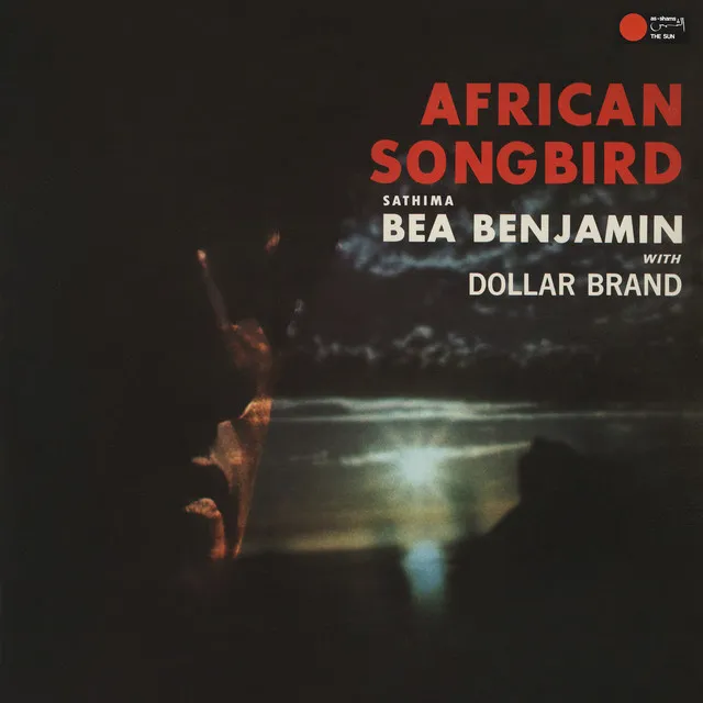 African Songbird