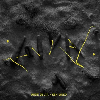 Sea Weed by Onde Delta