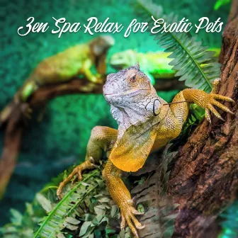 Zen Spa Relax for Exotic Pets - Calming Asian Flute Melodies to De-stress Your Little Friends by Pet Zen Music