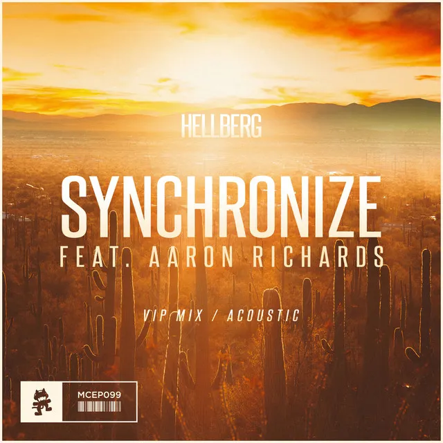 Synchronize - VIP