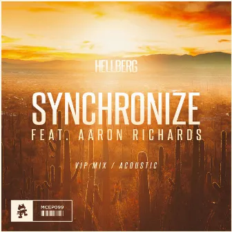 Synchronize (VIP / Acoustic) by Aaron Richards