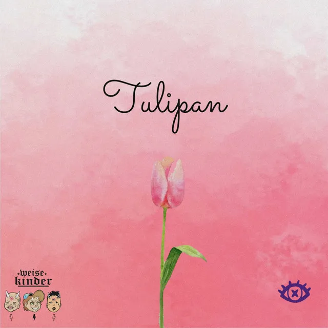 Tulipán