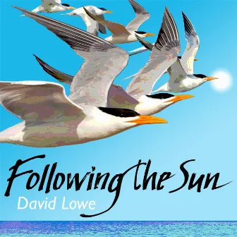 Following the Sun by David Lowe