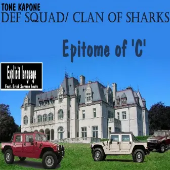 Epitome Of 'C' by Tone Kapone