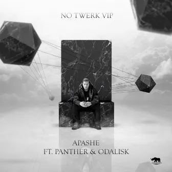 No Twerk VIP by Panther