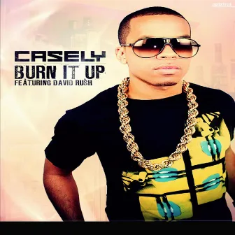 Burn It Up by Casely