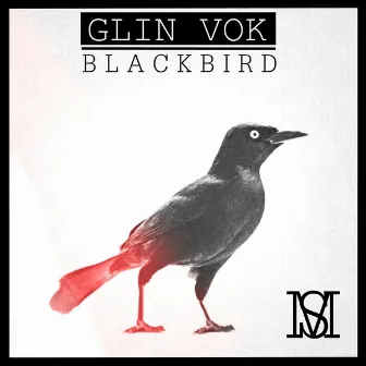 Black Bird by Glin Vok