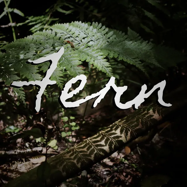 Fern