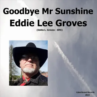 Goodbye Mr Sunshine by Eddie Lee Groves