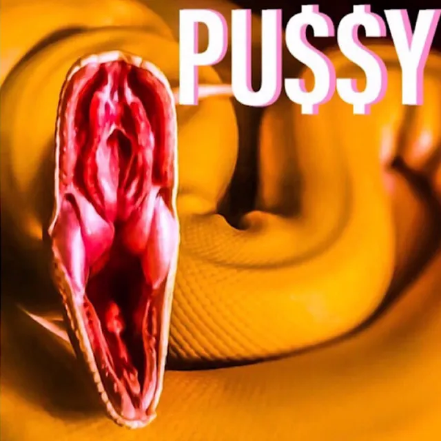 Pu$$y