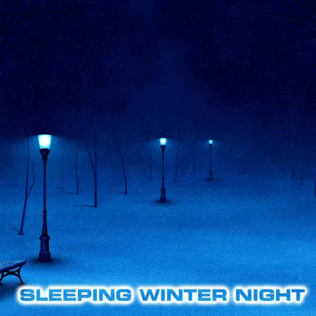 Sleeping Winter Night