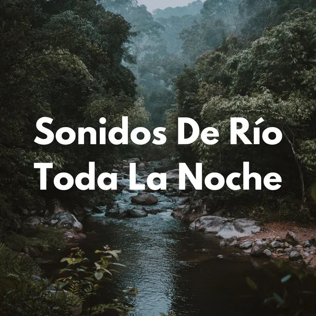 Sonidos De Río Toda La Noche