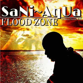 Flood Zone by SaNi~AqUa