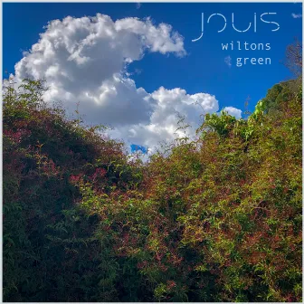 Wiltons Green by Jouis