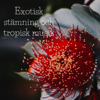 Exotisk stämning och tropisk musik: Hawaiiansk spa avkoppling och ho'oponopono-meditation by Chakra helande musikakademi