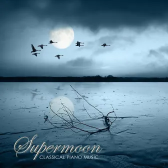 Supermoon: Dreamer Classical Sweet Piano Music, Romantic Songs for Moonlight Candlelight Dinner for Two by Moonlight Dreaming