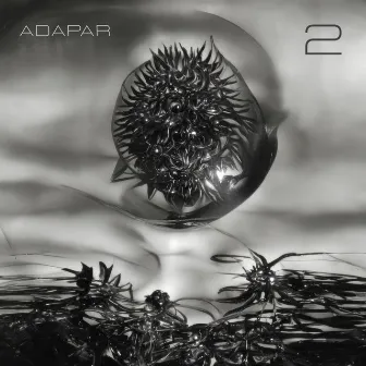 ADAPAR 2 by Álvaro Pérez