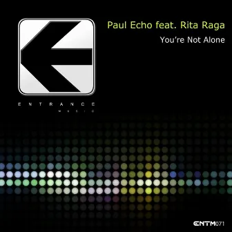 You're Not Alone by Paul Echo