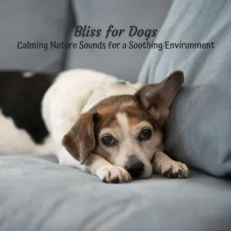 Bliss for Dogs: Calming Nature Sounds for a Soothing Environment by Dog Anxiety Music