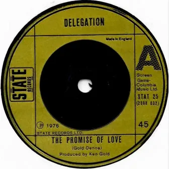 The Promise of Love by Delegation